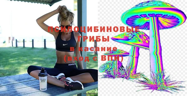 метадон Магас