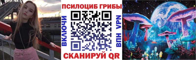 купить наркотики сайты  Элиста  Галлюциногенные грибы мухоморы 