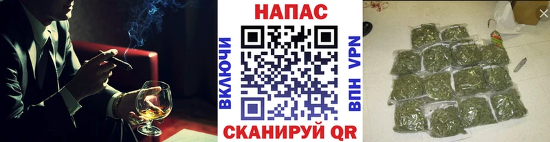 Бошки марихуана ГИДРОПОН  Элиста 